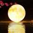唯美月亮背景循环11,凌晨两点视频素材网,视频素材,视频素材下载