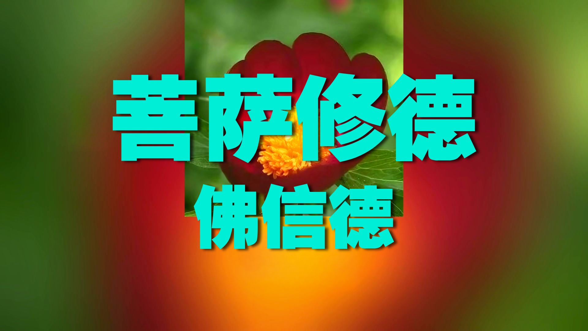 体佛法师开示：不二