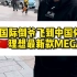 国际倒爷飞到中国体验理想MEGA