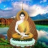 【Buddha Music ❤ Relax Music】佛教音乐 背景音樂 | 水晶佛教音樂  佛歌  佛教歌曲 - 在
