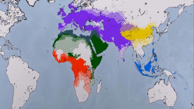 历史上世界几种主要语言的使用范围变化——Languages of the World, The largest language families