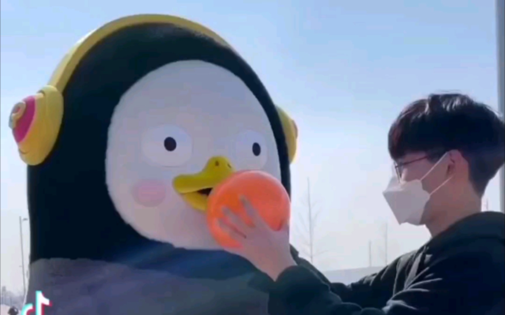 【pengsoo】吸了氦气的鹅声音太有魅力了_哔哩哔哩_bilibili