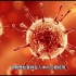 德尔塔病毒与早期新冠病毒的差异