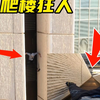 徒手攀爬大厦外墙壁，双手双脚全靠摩擦力