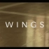 【中英字幕】Macklemore & Ryan Lewis - Wing$ MV