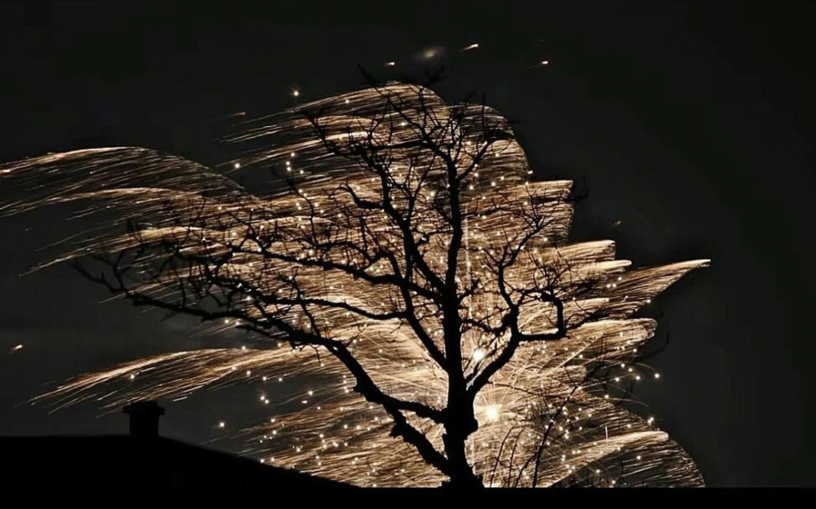 “枝头的绚烂，烟花让枯木也逢春～”