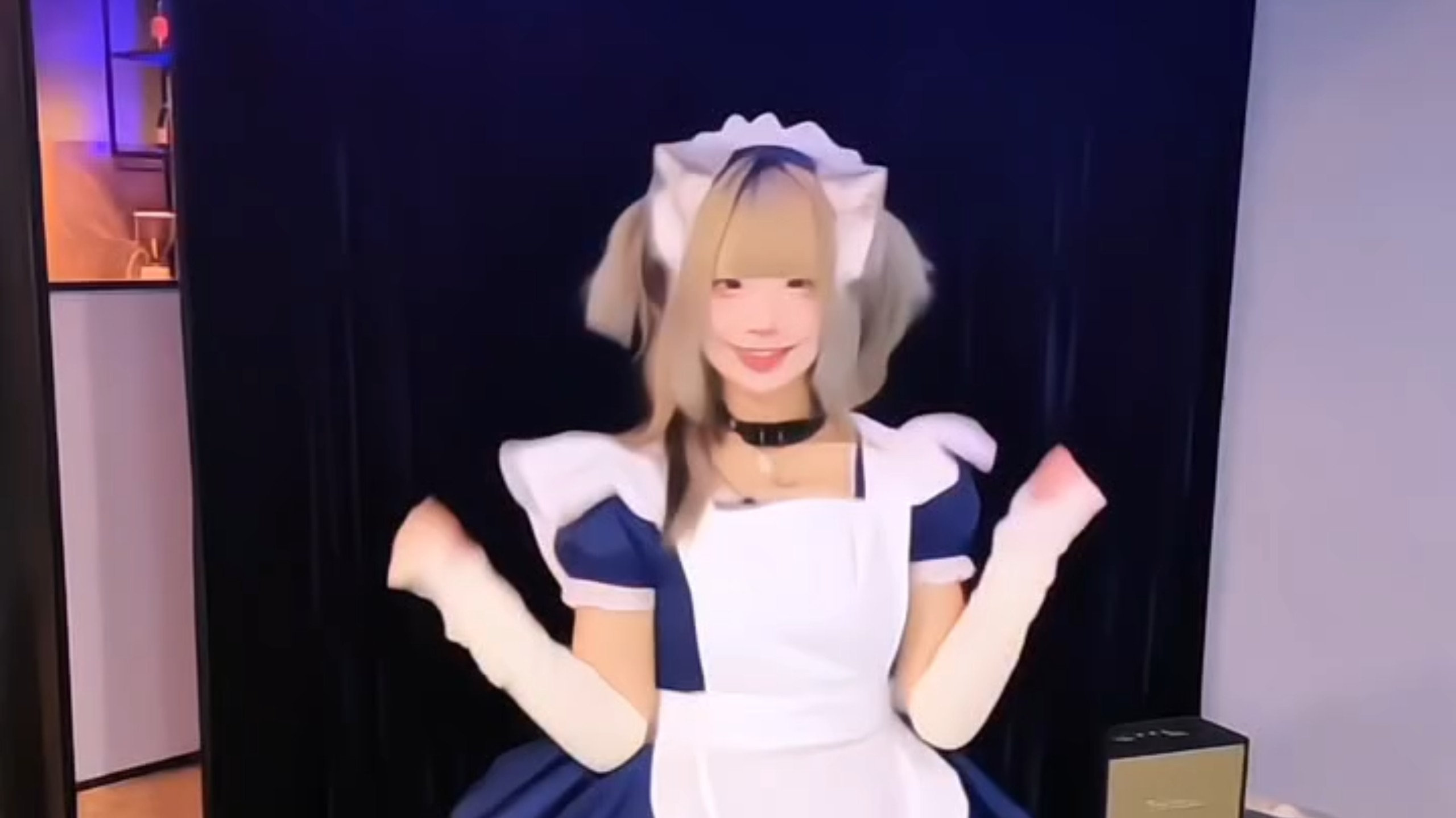 Cat Lady Maid!