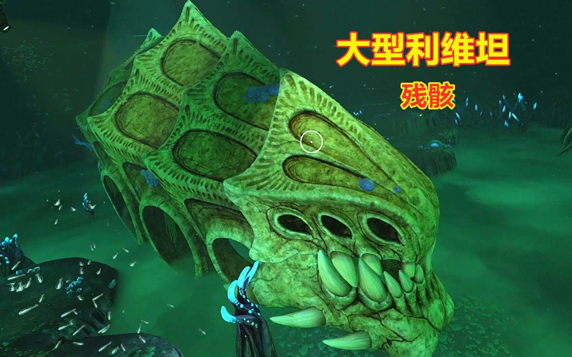 深海迷航：发现海底大型利维坦残骸，找到失落之河线索