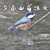 近距离观察上海罕见明星洗澡