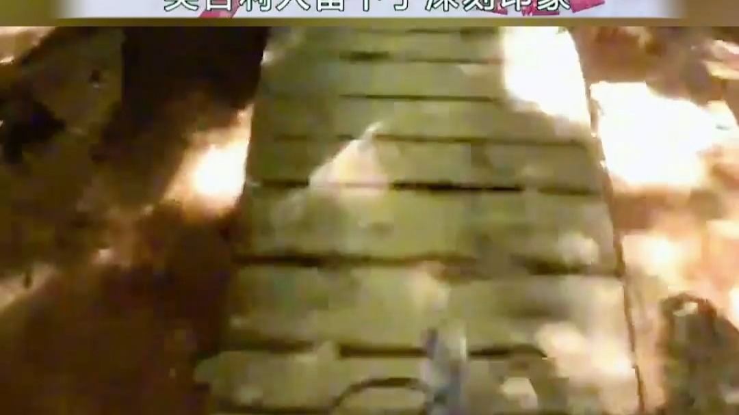 【24小时爽文】某瓣评分9.1 是一部难得的奋斗题材的家族 片刻之后 你摇了摇头 放弃了这个想法 虽然以这部剧的质量 足够晋级了 但是想要做到惊艳 那完全不够