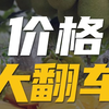 价格大翻车？越南菠萝蜜，跌倒五毛一斤