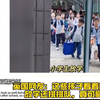 外网看中国小学生放学日常