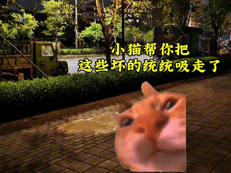 暂停一下，小猫有话要说