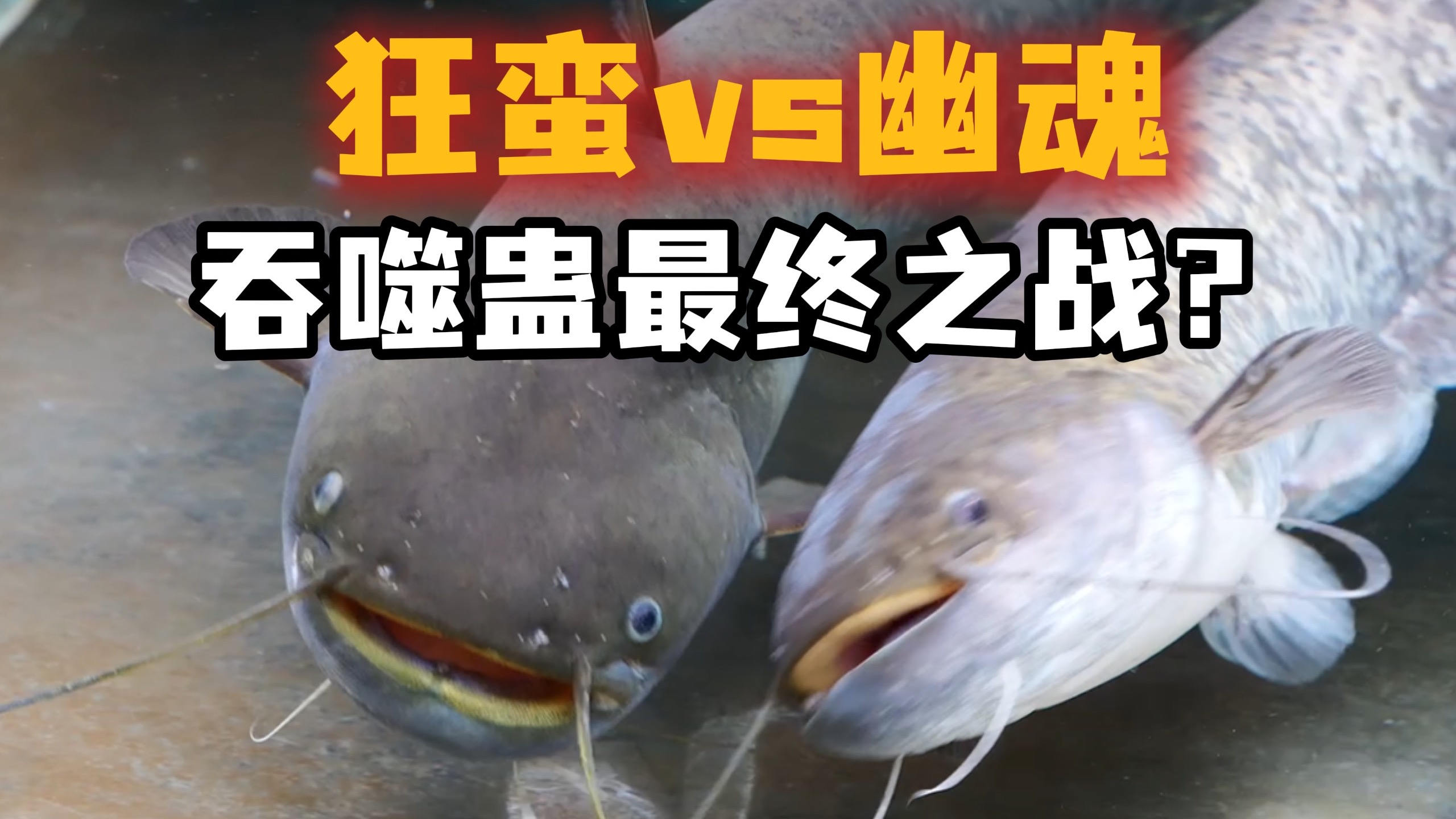 蔡武年