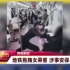 保安强迫乘客给外国人让座？深圳地铁的舆情危机处理，堪称教科书
