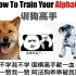 4分钟入门人工智能！高中生也能理解的阿法狗原理！【How To Train Your AlphaGo】入门篇