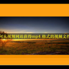 如何从视频网站下载到mp4格式文件