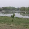 南京市七桥翁湿地公园运粮河 云旅游 云静心，云露营，江南地区自然风光田园景象vlog