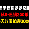 做拼多多店铺做到日销100-300单真的不难，新店可以直接模仿这个视频来，拼多多运营，拼多多新手开店，拼多多开店教程，拼多多运营教程，拼多多运营思路，拼多多开店