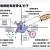 免疫相关课题设计--巨噬细胞