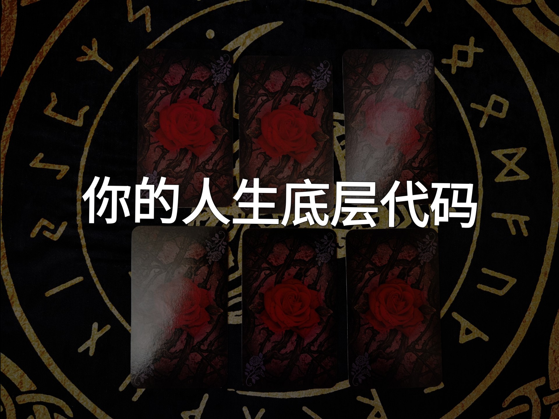 【龙女塔罗】你的人生底层代码