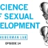 生物学对性别、性别差异和性偏好的影响【Huberman Lab Ep.14】