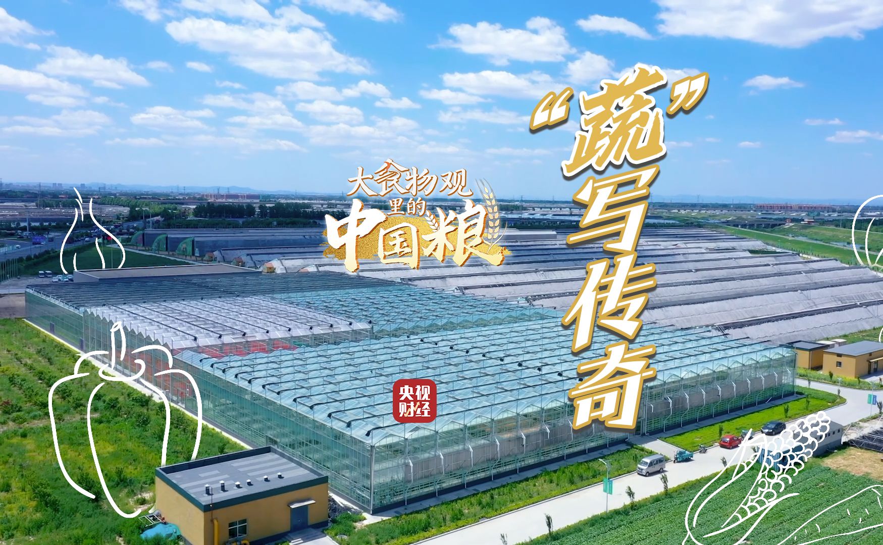 “蔬”写传奇！#江南水乡种出番茄家族 山东寿光蔬菜每年900万吨供应全国 大食物观里的中国粮