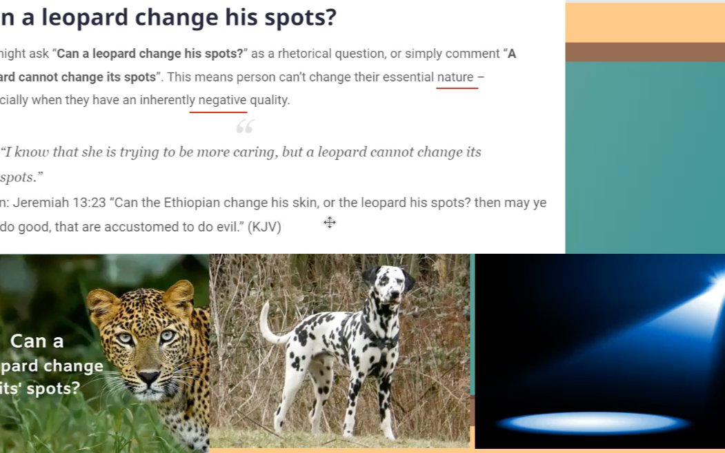 what does a leopard cannot change its spots mean