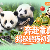 【直播回放】正在播出：儿童节的快乐是熊猫宝宝给的 2026年05月27日09点场