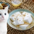 【日食记】快来吃我的豆腐呀！