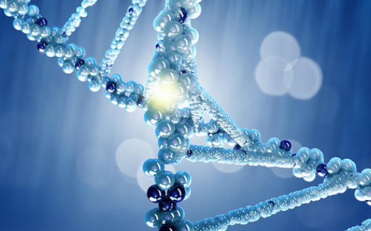 【AP Biology】BIOCHEM 6: Nucleic Acids哔哩哔哩bilibili