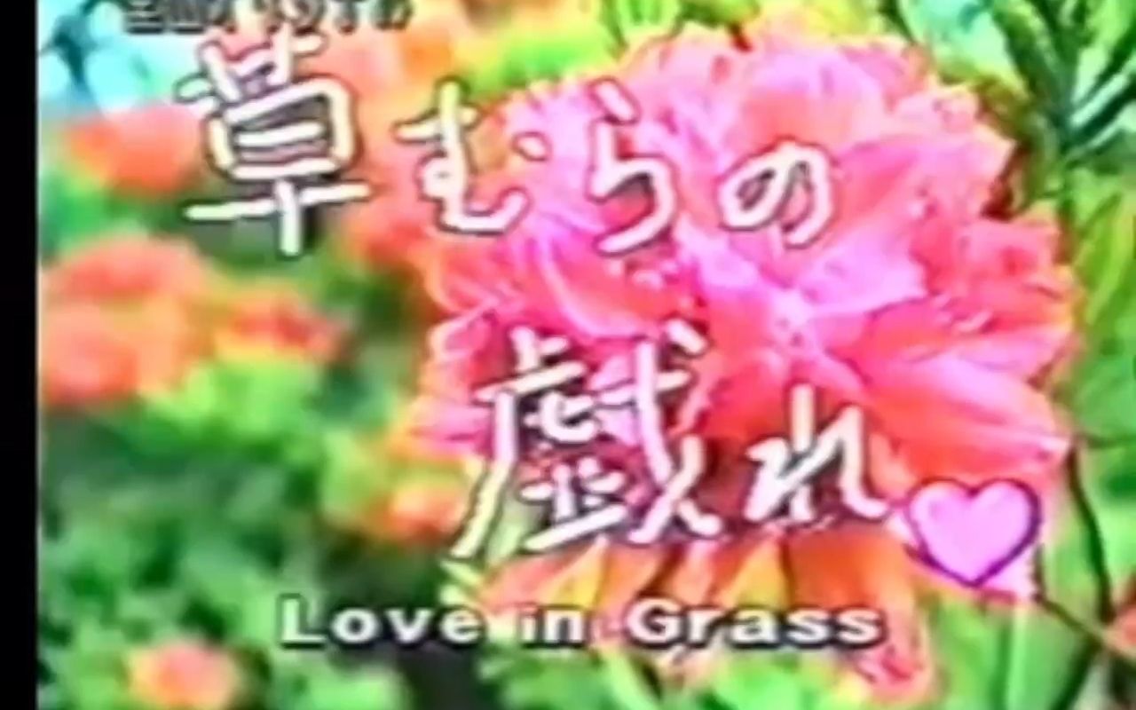 草むらの戯れ♡ ～Love in Grass～