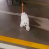 小马拉大车