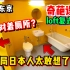 日本房子迷幻格局！大门一开就是厕所，你能接受吗？