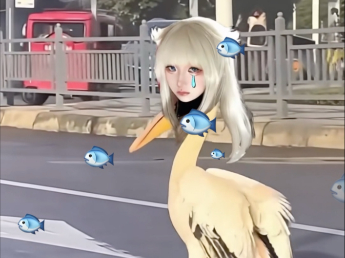 先天小鹈鹕圣体！！！（