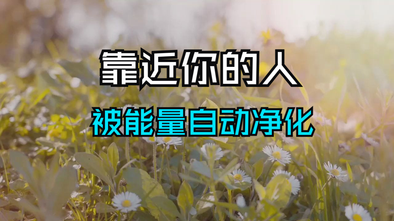 靠近你的人都被能量自动净化，天选者你的磁场太强了！