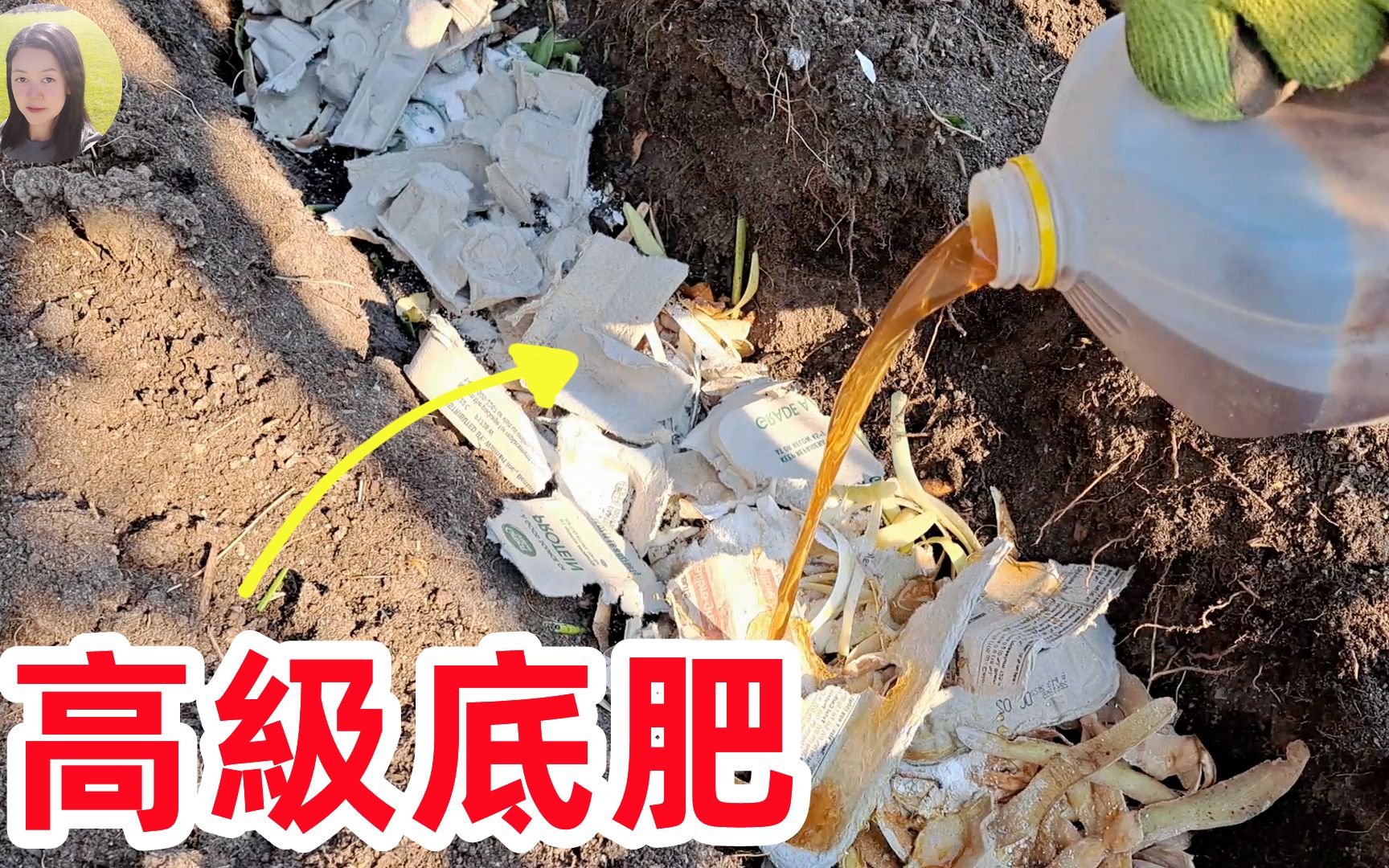 现在做这些, 明年蔬菜爆棚, 咖啡渣的神奇功效