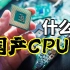 国产CPU争议为何那么大？【档案室07】