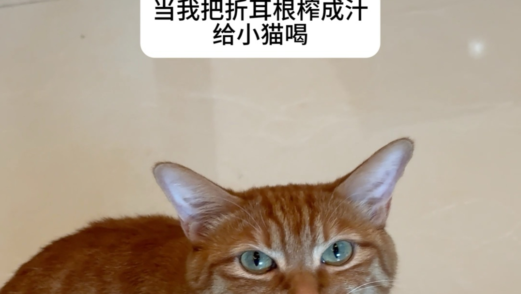 肖茂，你怎么不吃不喝的！