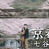 【关西追樱之旅】EP5京都 | 隐藏樱花副本！？漫步龟冈七谷川绝美樱花隧道 | 关西小众赏樱点