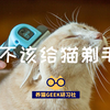 【科普向】该不该给猫剃毛 养猫GEEK研习社VOL
