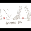 【妄想症系列|蘑菇蘑菇手书】蘑菇蘑菇，躲在妄想的角落