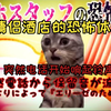 【熟肉】在情侣酒店打工的日常（灵异篇） | 猫meme