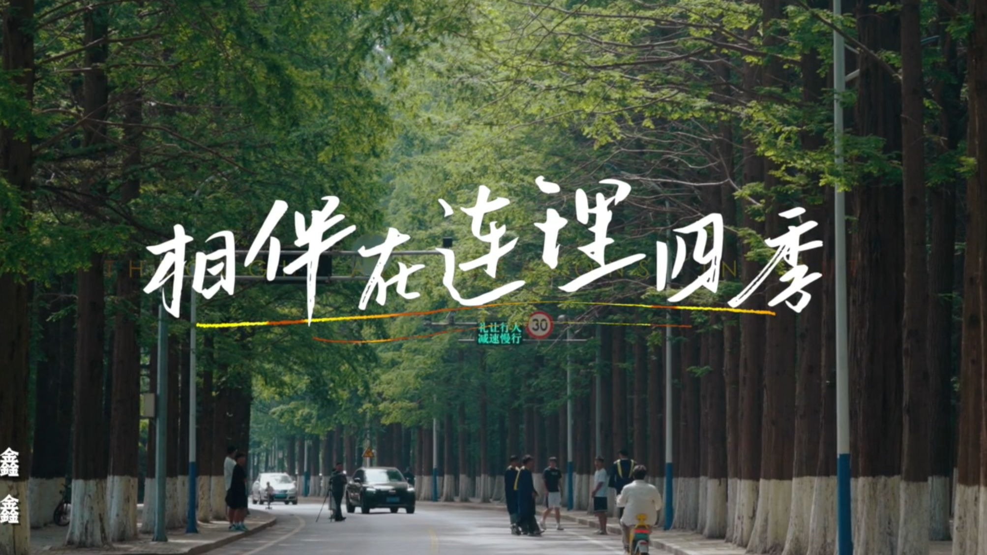 大连理工大学2025毕业季原创主题曲《相伴在连理四季》MV｜连理相伴的时光，勿忘！
