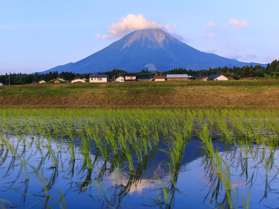 清风拂秧，漫步日本火山下的小村庄。日本鸟取县“大山”火山脚下 农村景色