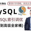 学习MySQL看这个就够了，MySQL数据库基础到高级全套教程视频+MySQL索引调优（从入门到精通