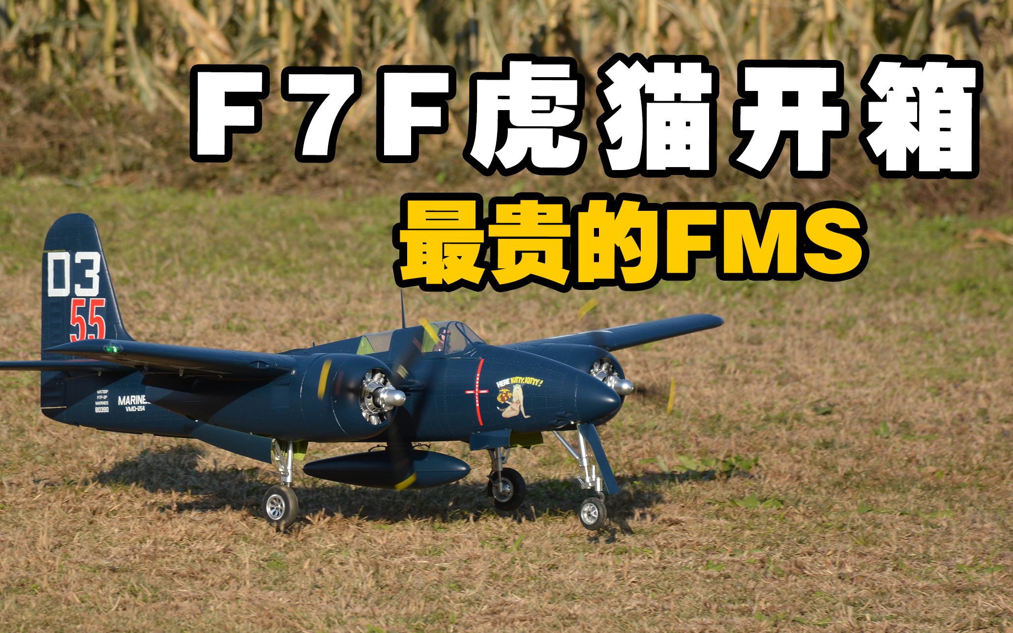 【航模测评】装完FMS最贵的飞机“我虚了”，F7F虎猫像真机开箱测评