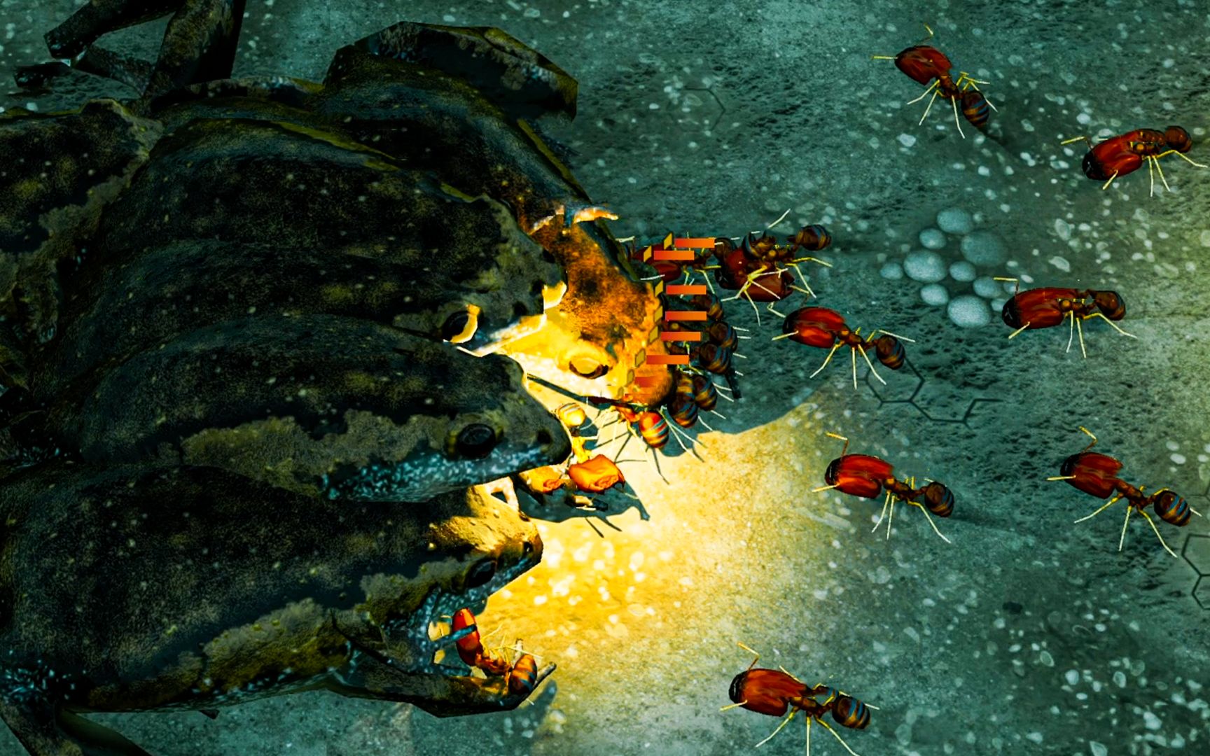 地下蚁国：大头蚂蚁集合，用大头撞死一切来犯之敌！