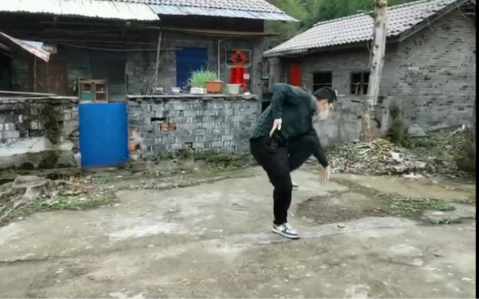 形意拳十二形之鸡形