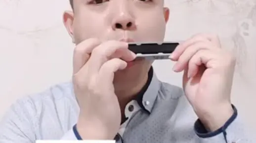 口琴《偏偏喜欢你》